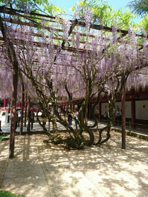 rblog-20170702235121-07.jpg