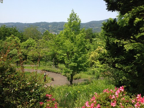 4病院　500３jpg.jpg