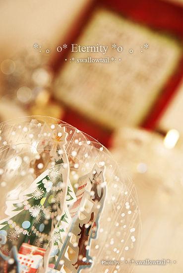 Photo by swallowtail　E.jpg
