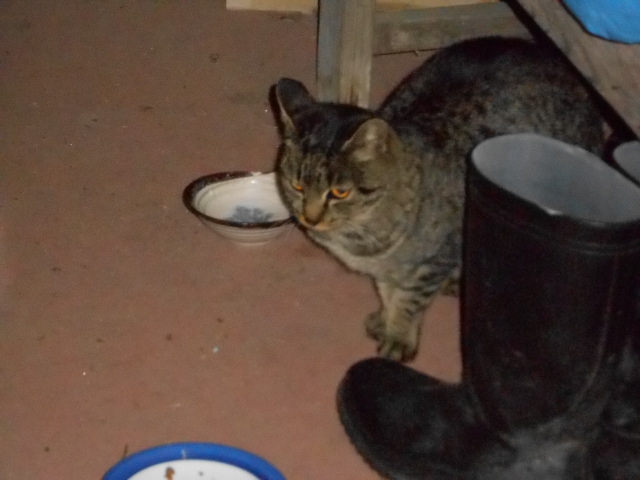 DSCN0825.JPG