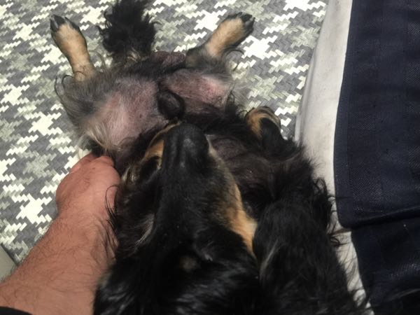 rblog-20161004050540-01.jpg