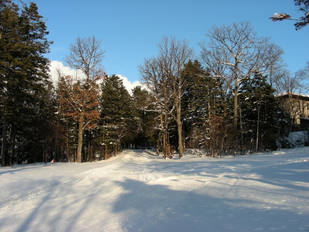 12-12mori-sora (2).JPG