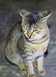 5DA_9730-4.jpg