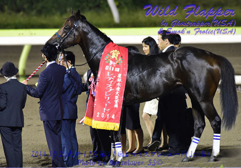 06WildFlapper100214tck11R_02
