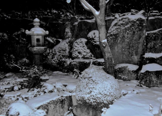 雪景色