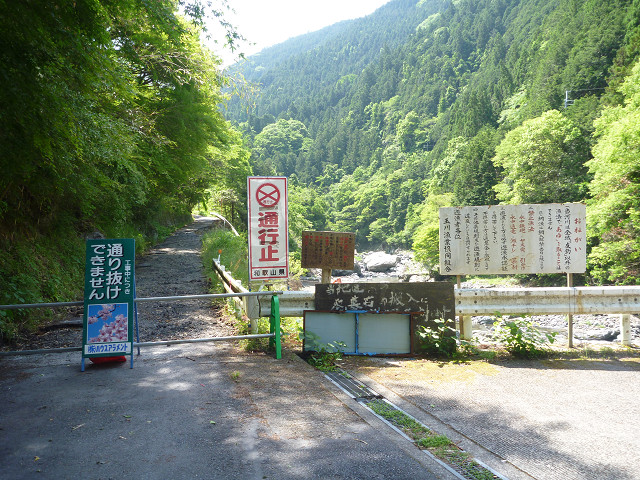 resize0008.jpg