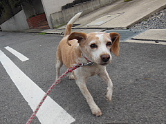 conv0004.JPG