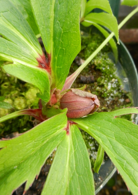 DSCN1056.JPG