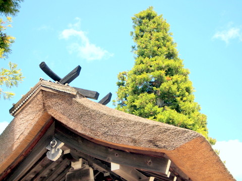 永沢寺山門