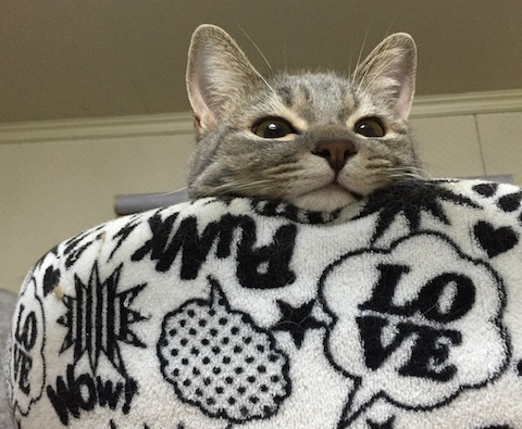 2016-01-28 21.25.03.jpg