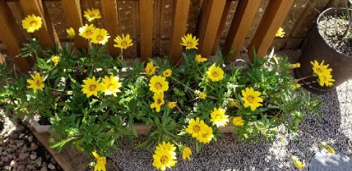 rblog-20180517233602-01.jpg