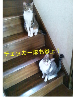 20120809_3.jpg