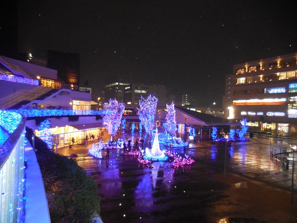 DSCN3482.jpg