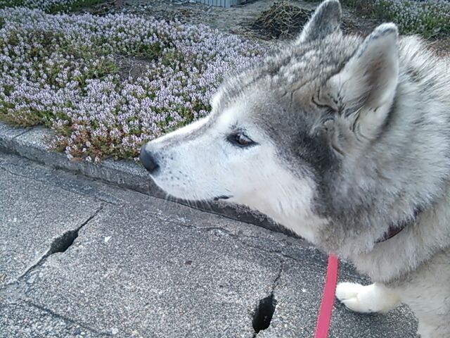 rblog-20140702210418-00.jpg