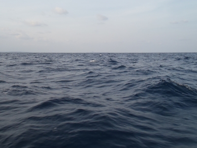 沖縄深海魚採集2012年12月5　海