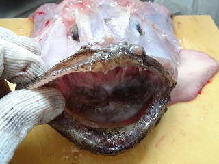 2012-06-24 10.34.33.jpg