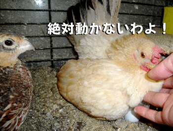 2012/07/06(2)