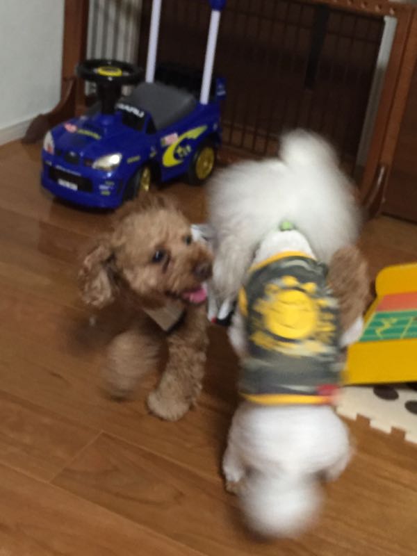 rblog-20150928194500-01.jpg