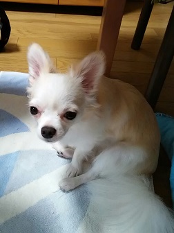 あんよ