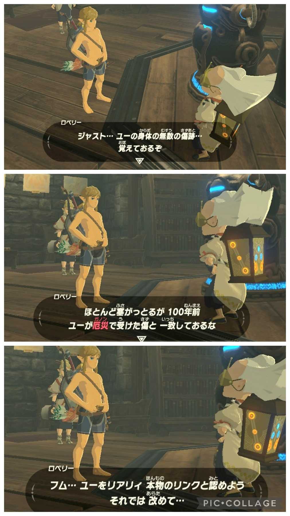 あ*い様 100年前のハイラル満喫セット！
