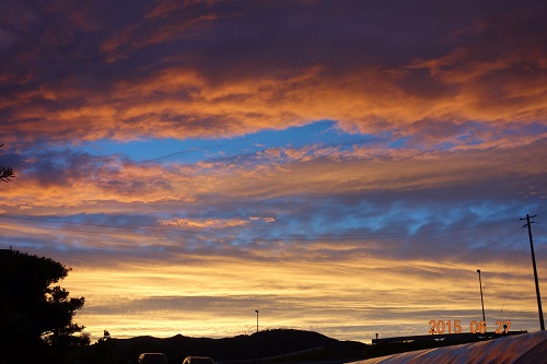 DSC02252.JPG