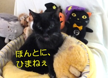 20121111_5.jpg