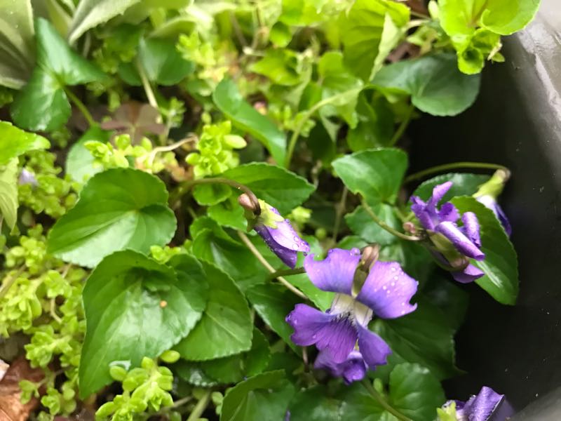 rblog-20190419193912-07.jpg