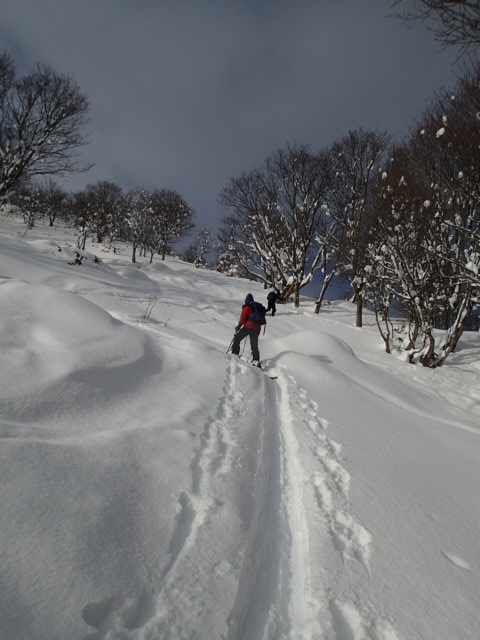 P1010011.JPG