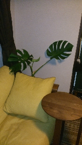 rblog-20130810231234-00.png