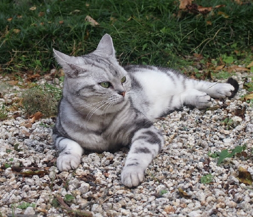 PA063034.JPG