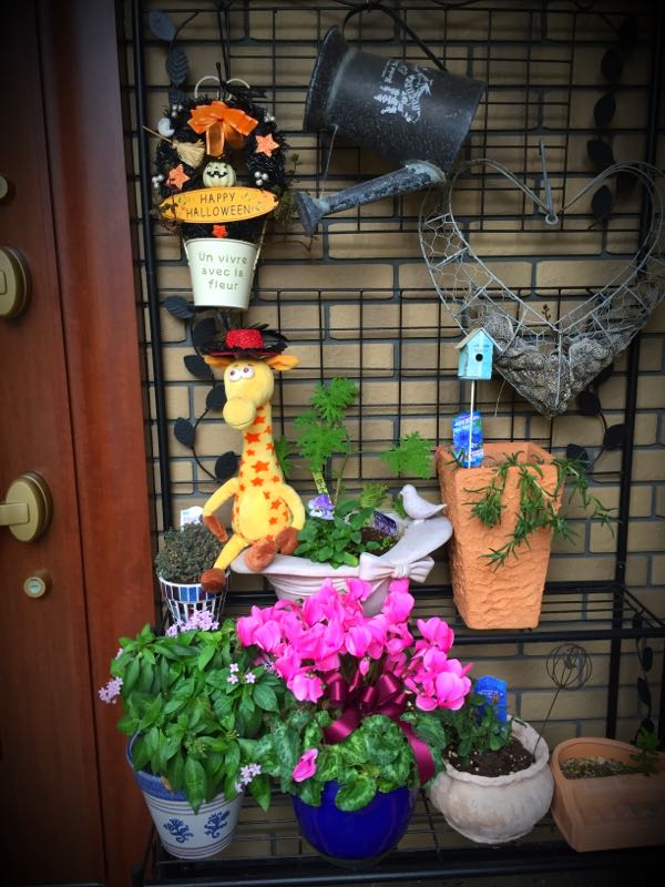 rblog-20151031194544-03.jpg