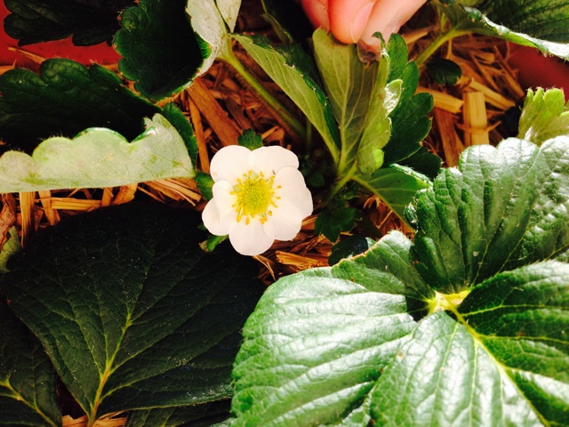 rblog-20131109144228-03.jpg