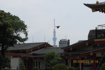kanndamyoujinn