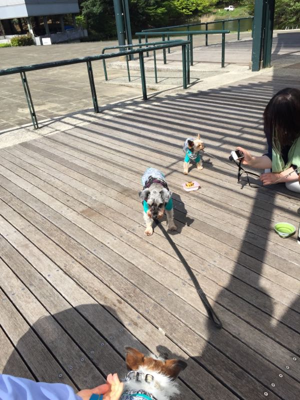 rblog-20160416005146-04.jpg