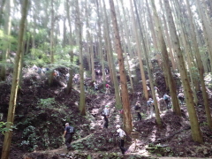 高束山0819_4
