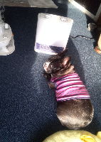 rblog-20131216010350-01.png