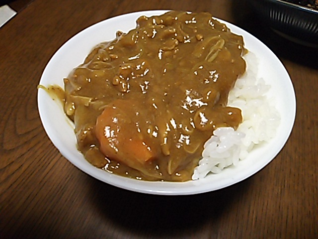 290130カレー.JPG