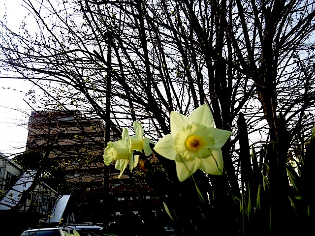 120409_154909.jpg