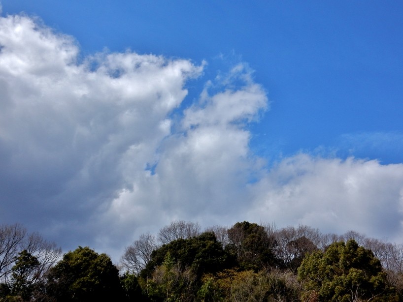 空3.JPG
