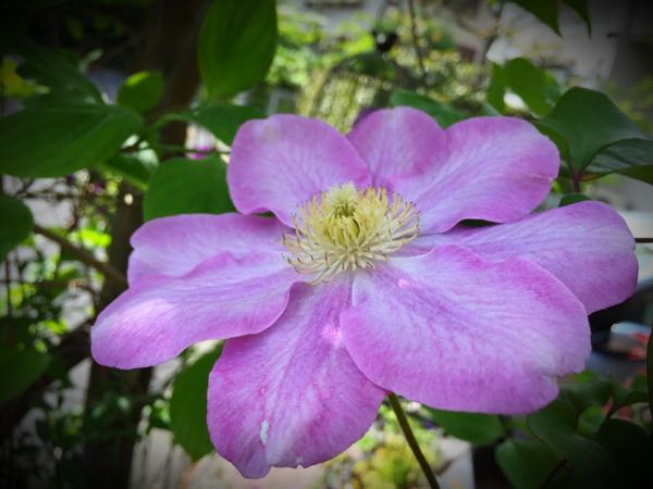 rblog-20150430203917-03.jpg