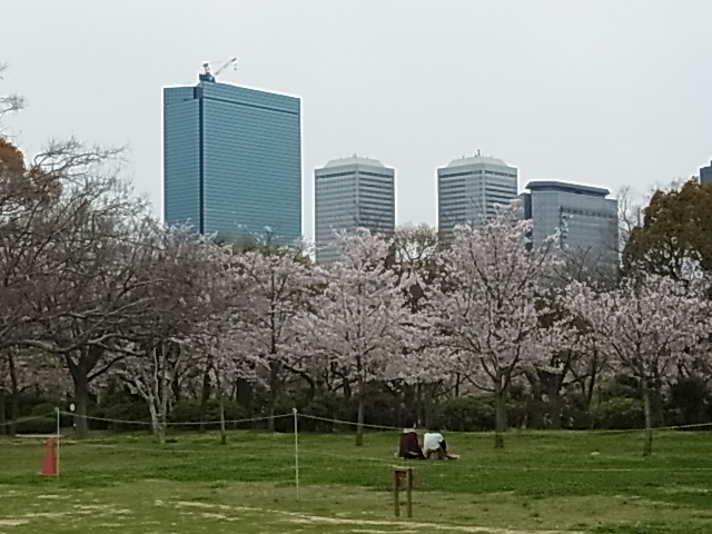 20120413_5.JPG