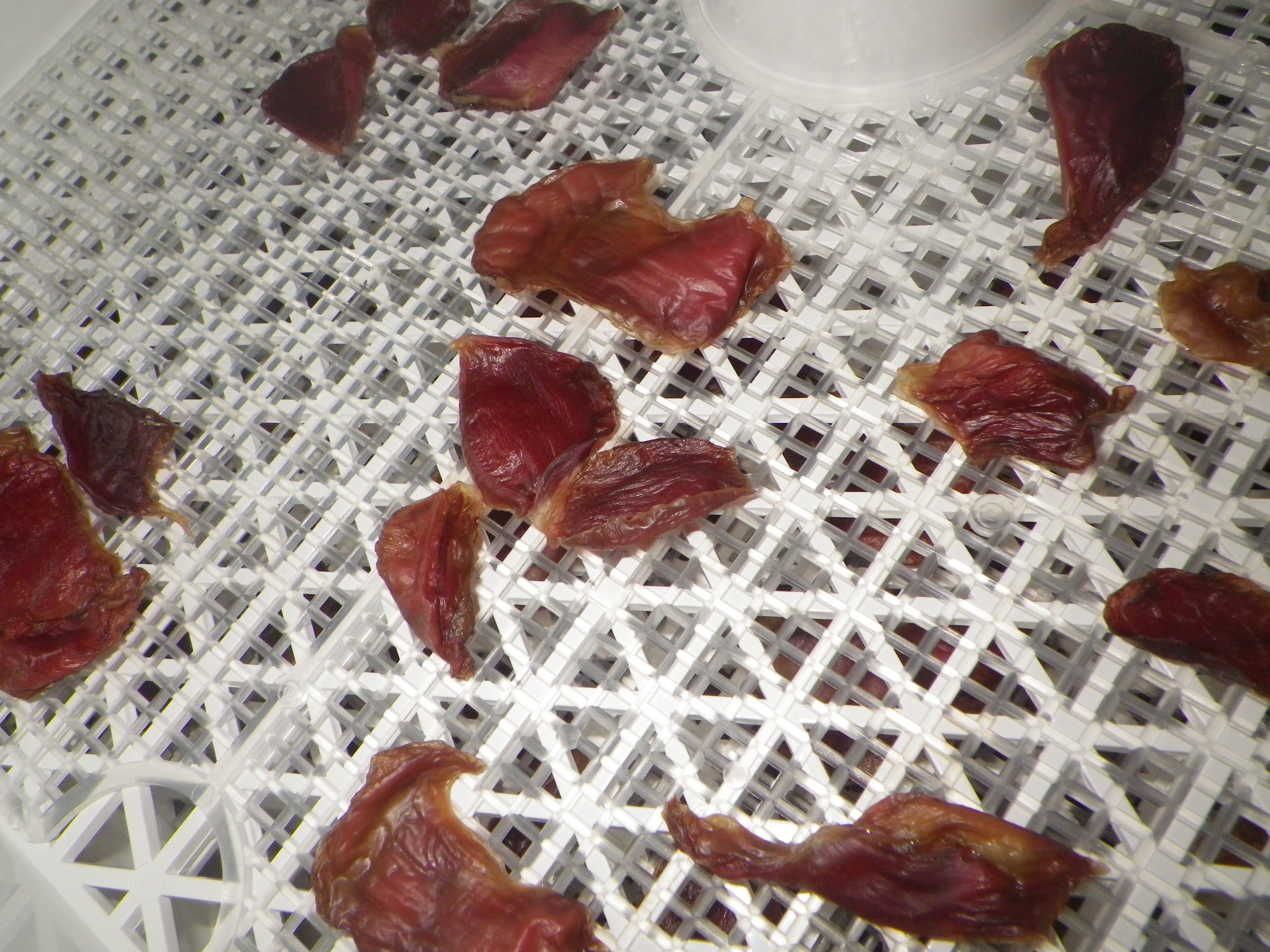 フードドライヤーで砂肝ジャーキーづくり 最近 万年筆に興味がありまして 文具と犬のブログ 楽天ブログ