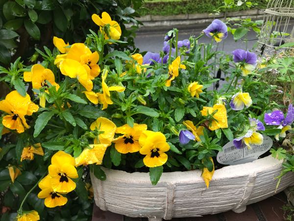 rblog-20190426180928-01.jpg