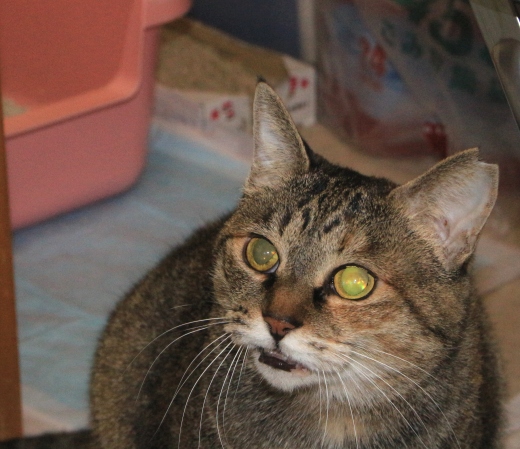 20160223ｻｷ02.jpg