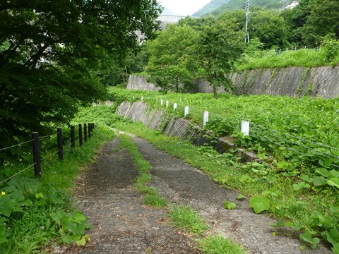 P1020577.JPG