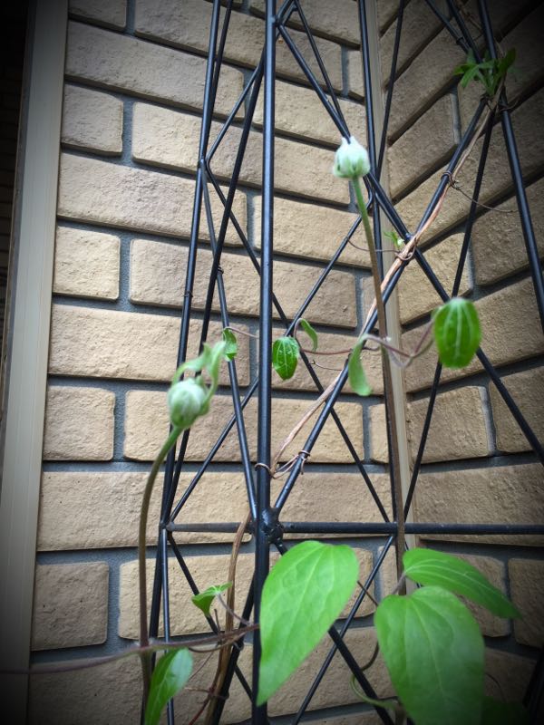 rblog-20160403110811-09.jpg