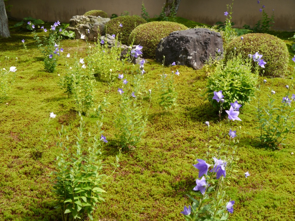 P1080176.JPG