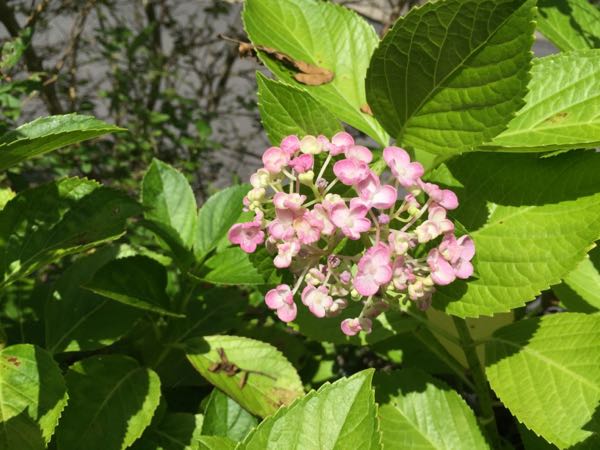 rblog-20160615174016-08.jpg