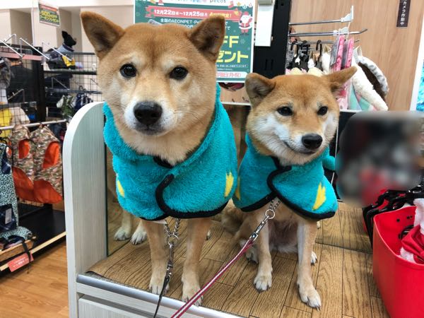 rblog-20171225133340-01.jpg