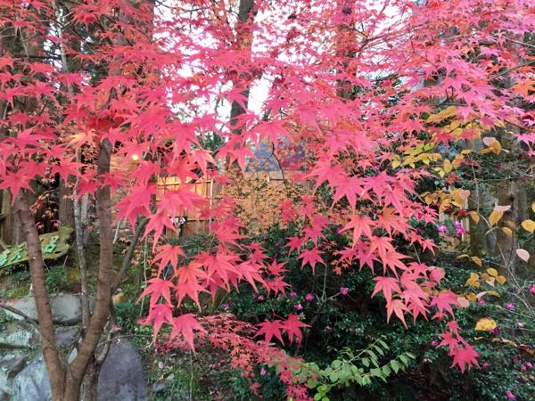 rblog-20161212192235-02.jpg